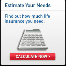 Life Insurance Calculator Free Download