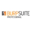 Burp Suite Professional 2020 Free Download