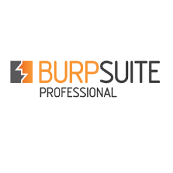 Burp Suite Professional 2020 Free Download