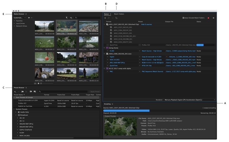 Adobe Media Encoder CC 2019 Direct Link Download